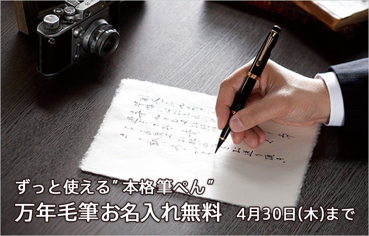 ずっと使える本格筆ぺん 万年毛筆 お名入れ無料