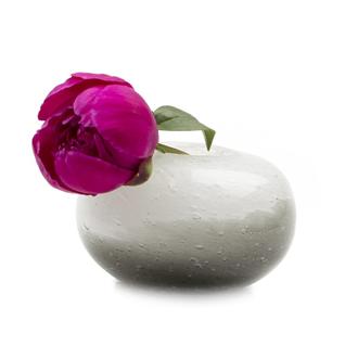 グラスベース　ＬＩＧＮＥ　オヴァル　ブラック＆ホワイト