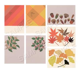 ｙａｙａ２０９　ポストカードセット