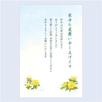 寒中はがき　福寿草　Ｍ２２０－６０６
