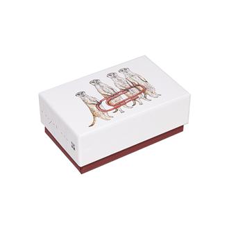 秦直也　アートボックスＳ　「ミーアキャット」