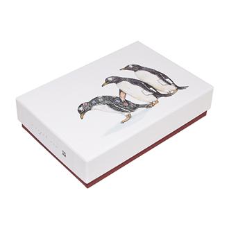 秦直也　アートボックスＭ　「ペンギン」