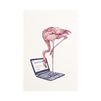 秦直也　ポストカード　「フラミンゴ」
