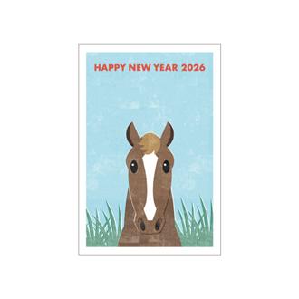 お年玉付年賀状　カラー印刷５枚入ＰＫ－２６１３