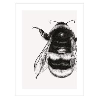 ブランクカード　ＩＳ２２Ａ　肖像（丸花蜂）