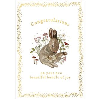 ベビーカード　ＡＦ３１３Ａ　童話（親子うさぎ）