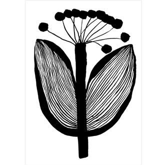 ブランクカード　ＰＫ５０２１　ハーバリウム（アンバーカーマイン）