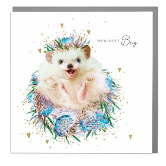 ベビーカード　ＳＮ－８５５　花・はりねずみボーイ