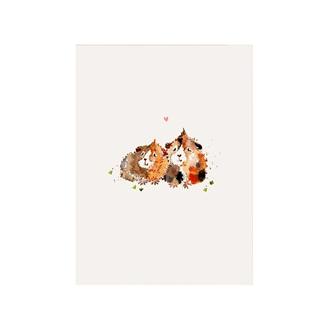 ミニブランクカード　ＢＩＪ７５　モルモットカップル