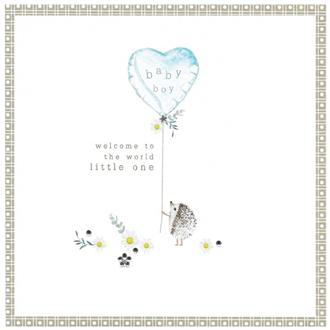 ベビーカード　ＰＨ８５　はりねずみ（男の子）