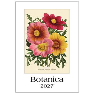 ２０２７　３５ｘ５０　ＢＯＴＡＮＩＣＡ