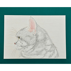 Itoya Academy supported by Faber-Castell 2025年度体験講座レポート