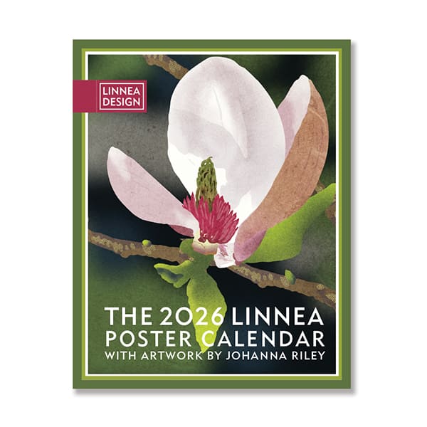 リネアデザイン　カレンダー