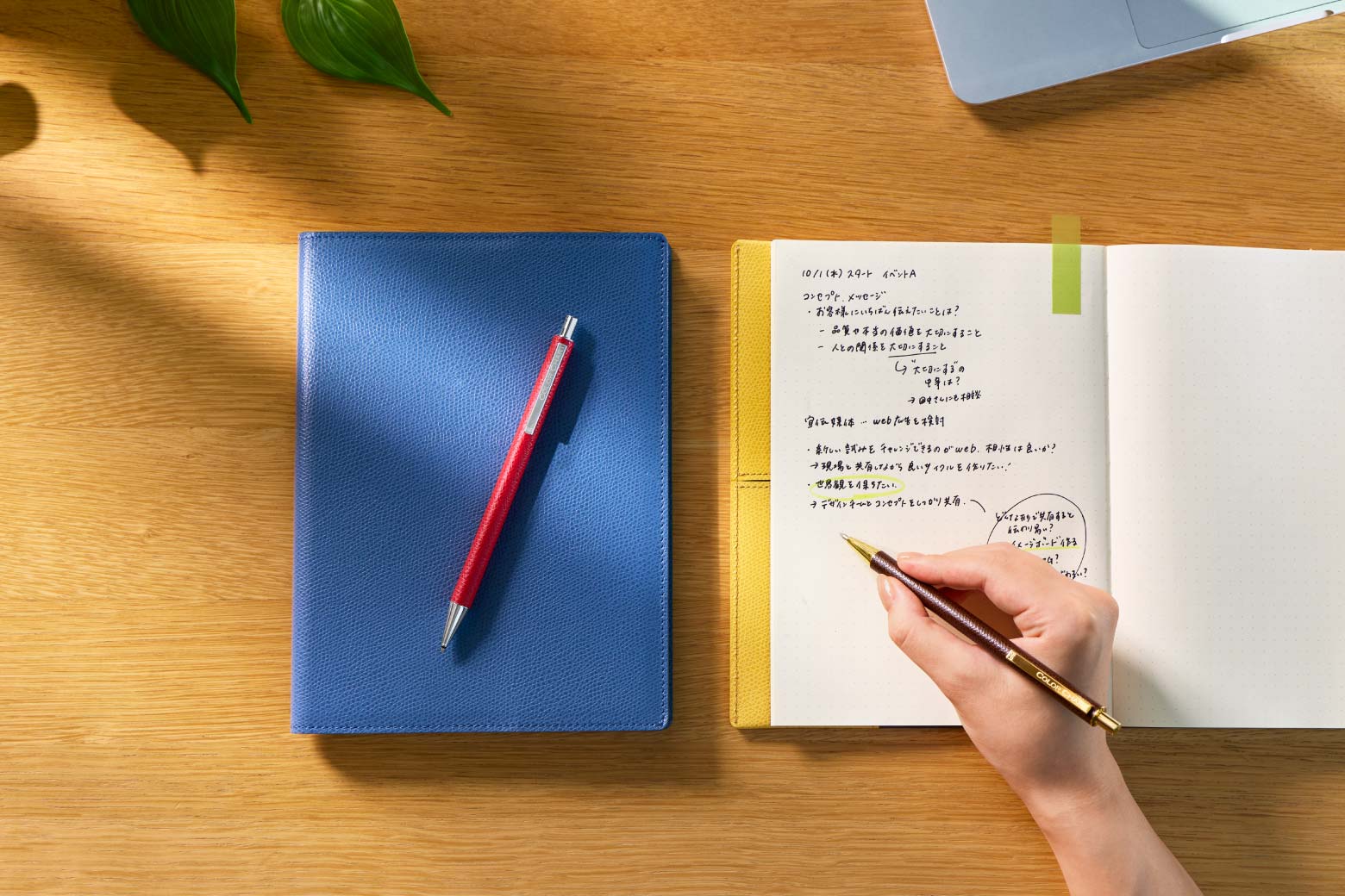 伊東屋　カラーチャート