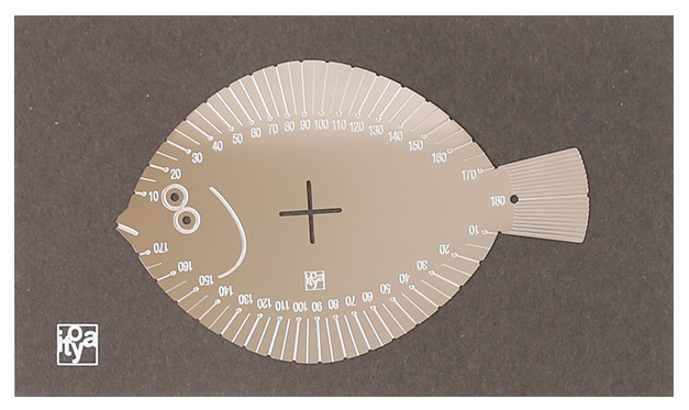 伊東屋オリジナル〈おいしい魚〉ノート